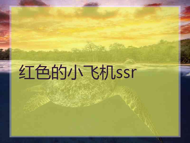 红色的小飞机ssr