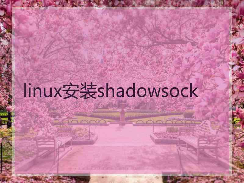 linux安装shadowsock