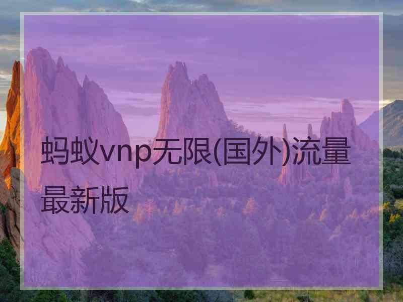 蚂蚁vnp无限(国外)流量最新版