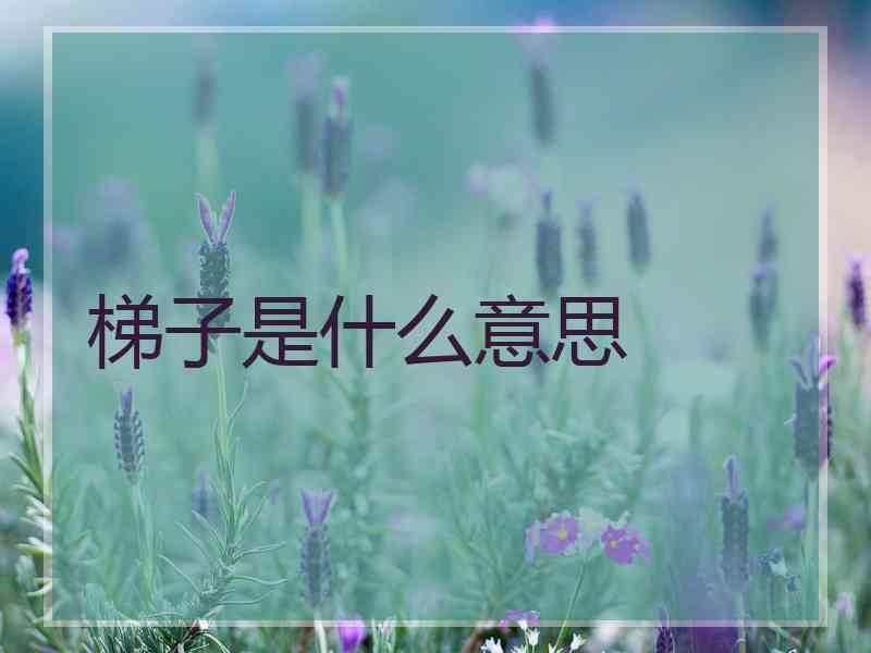梯子是什么意思