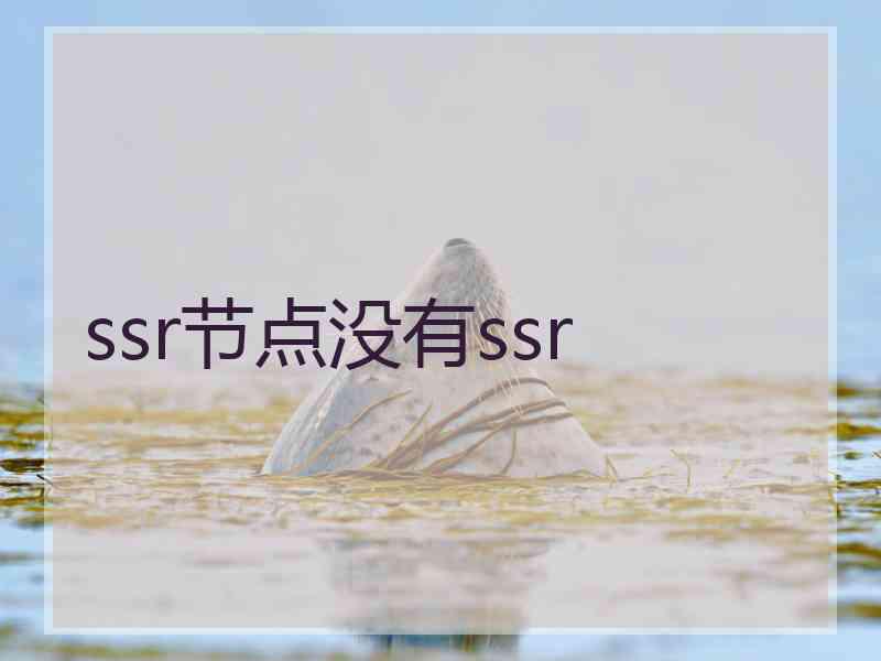 ssr节点没有ssr
