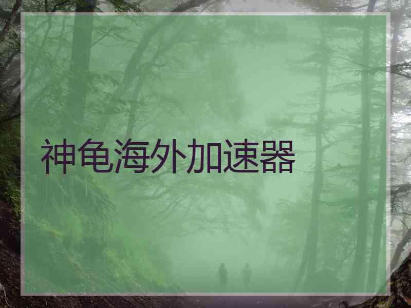神龟海外加速器