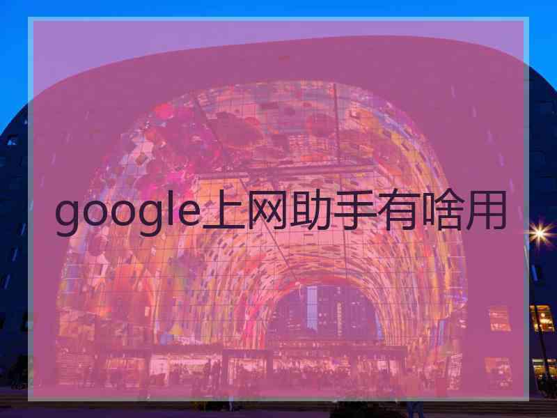 google上网助手有啥用