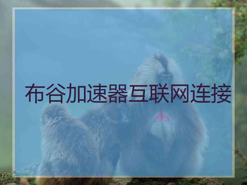 布谷加速器互联网连接