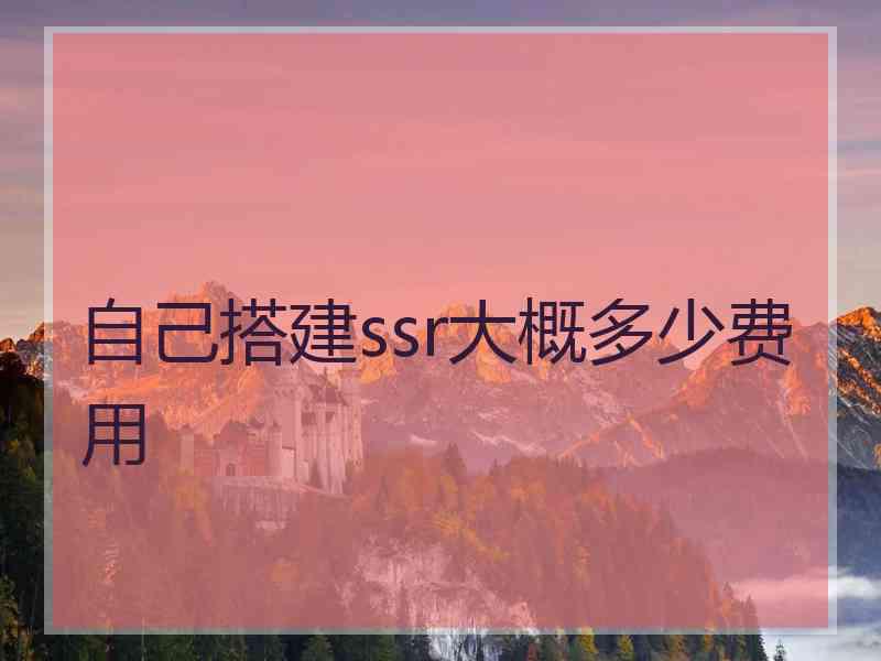 自己搭建ssr大概多少费用