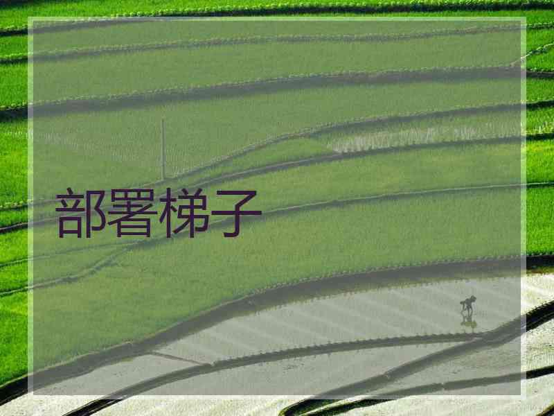 部署梯子