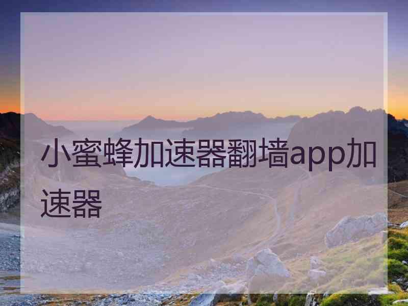小蜜蜂加速器翻墙app加速器