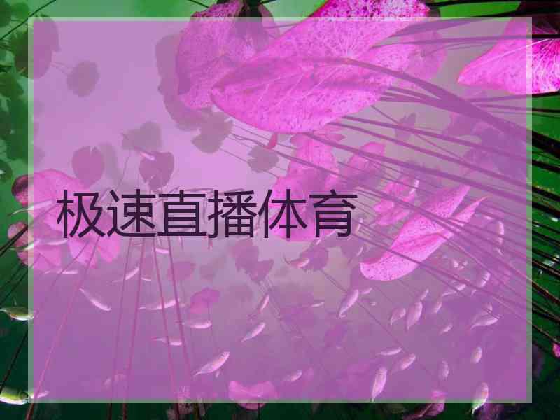 极速直播体育