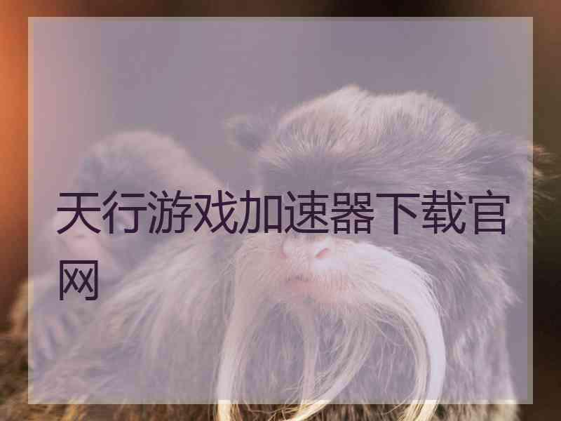 天行游戏加速器下载官网