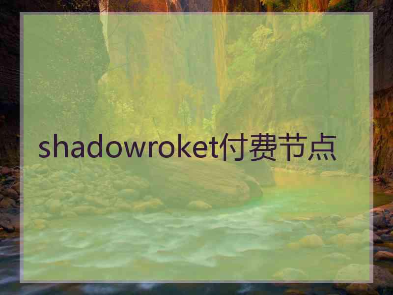 shadowroket付费节点