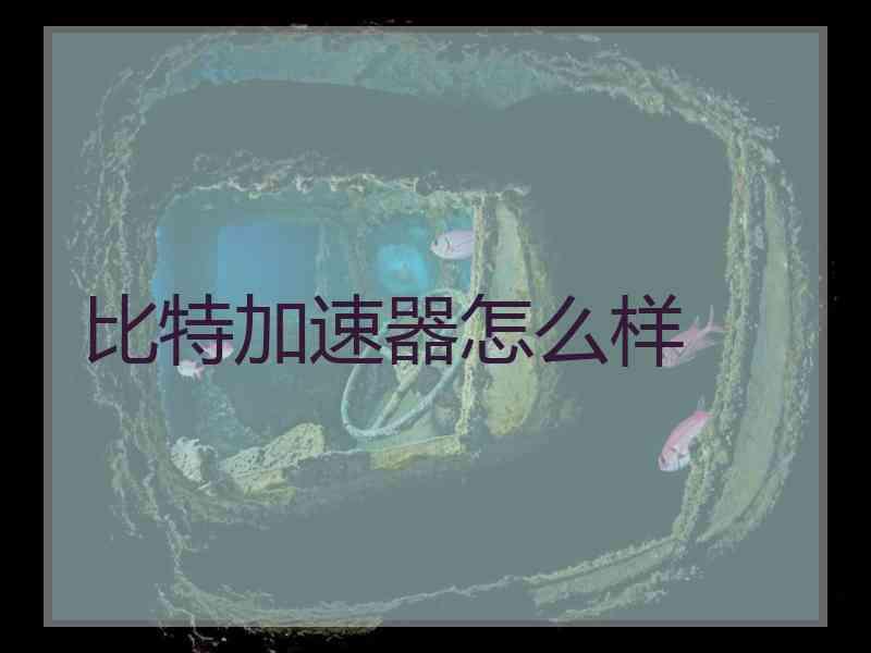 比特加速器怎么样