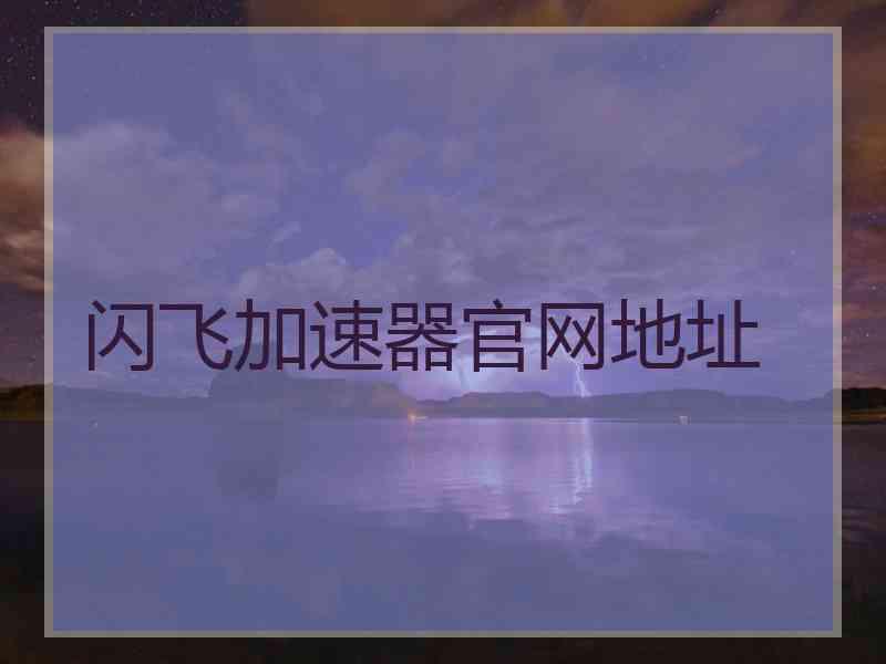 闪飞加速器官网地址