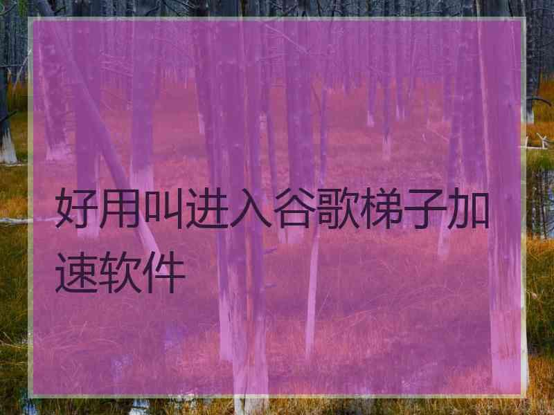 好用叫进入谷歌梯子加速软件