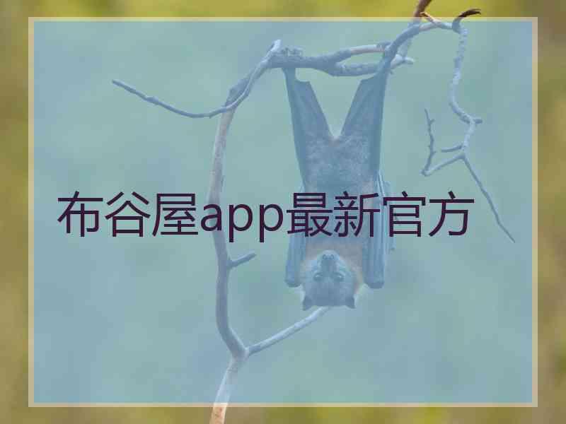 布谷屋app最新官方