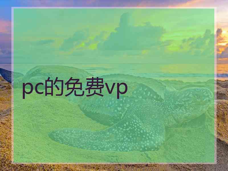 pc的免费vp