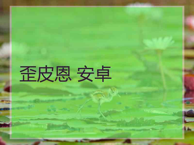 歪皮恩 安卓