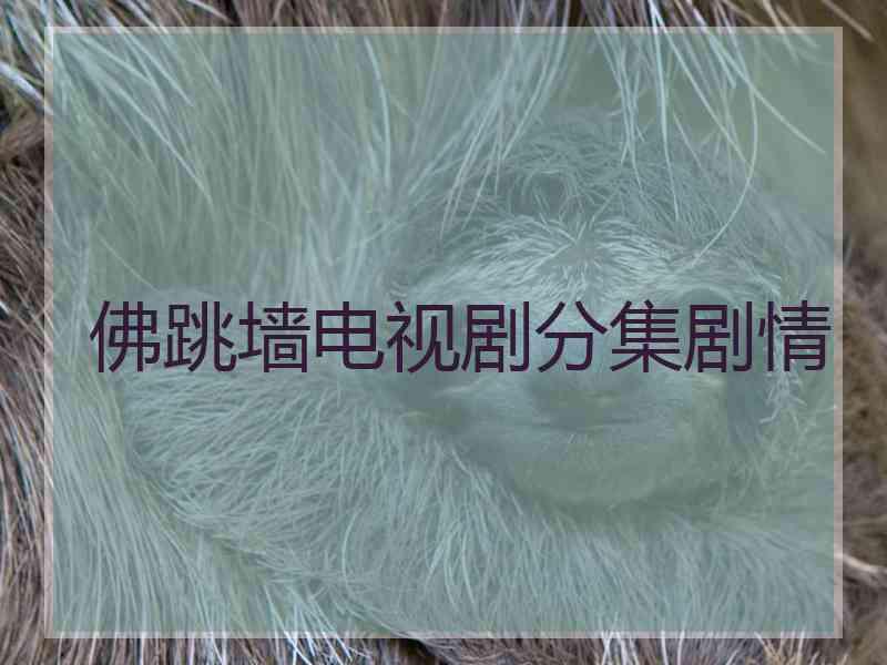 佛跳墙电视剧分集剧情