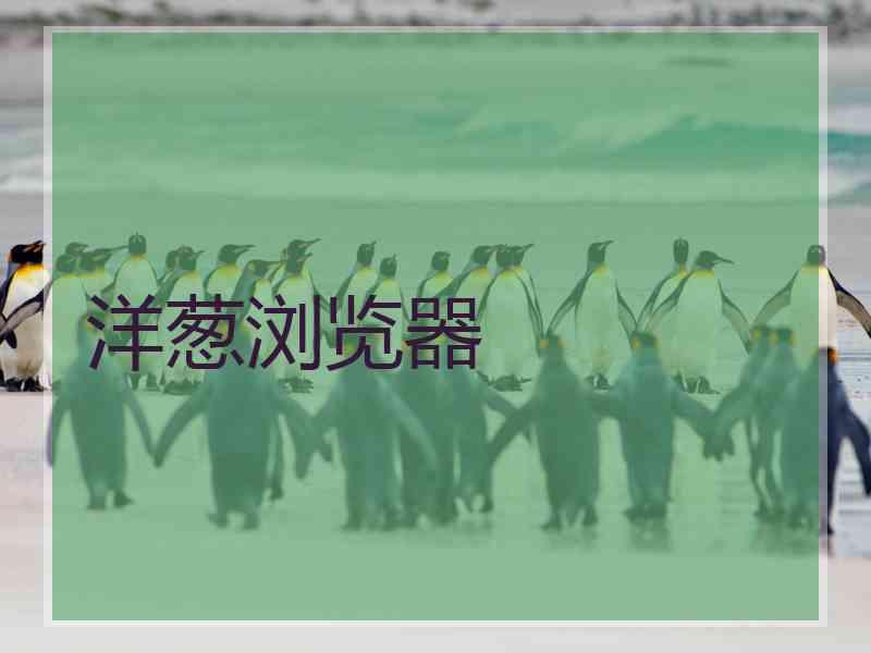 洋葱浏览器