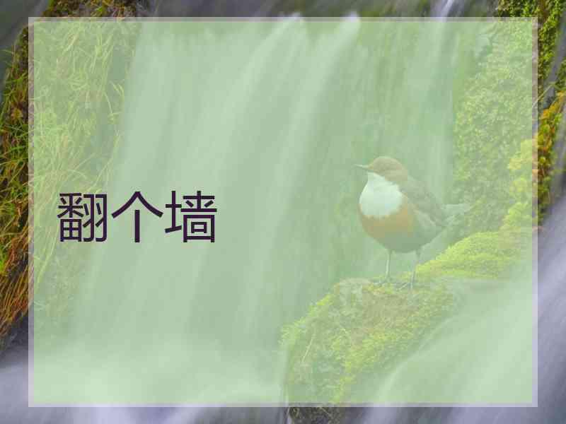 翻个墙