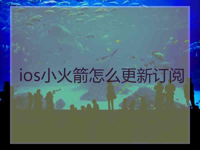 ios小火箭怎么更新订阅