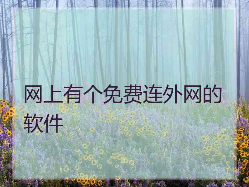 网上有个免费连外网的软件