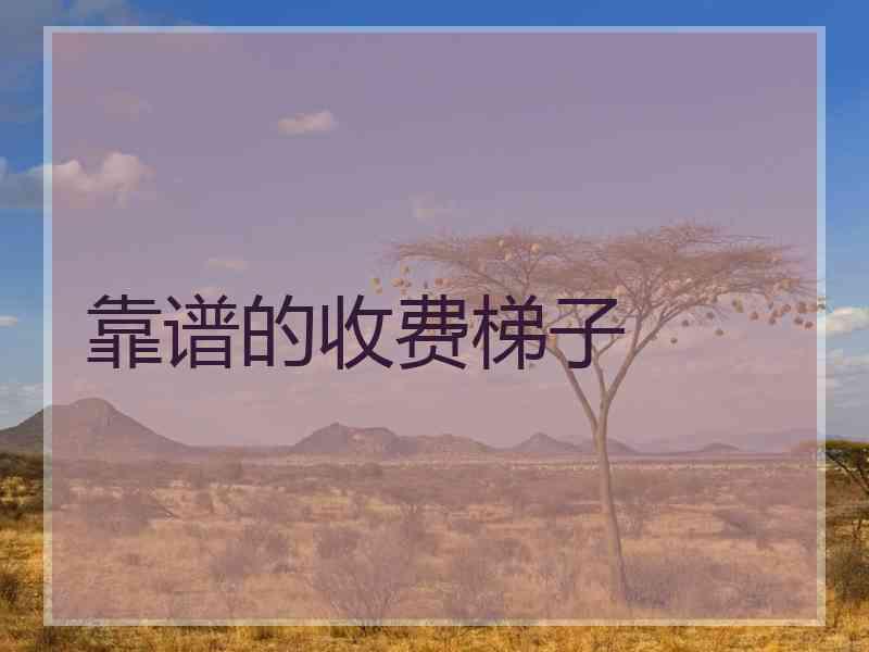 靠谱的收费梯子