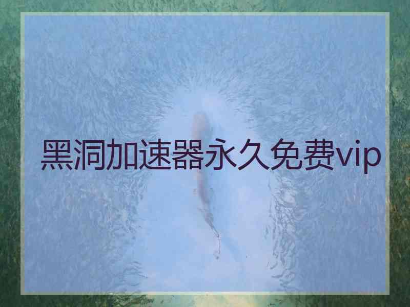 黑洞加速器永久免费vip