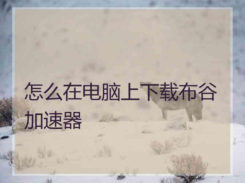 怎么在电脑上下载布谷加速器