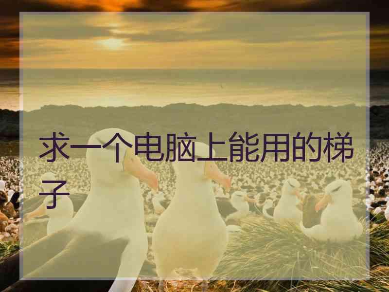 求一个电脑上能用的梯子