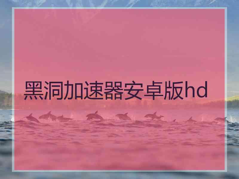 黑洞加速器安卓版hd