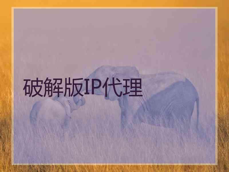 破解版IP代理