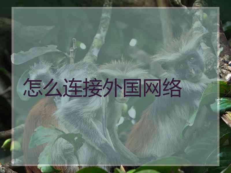 怎么连接外国网络