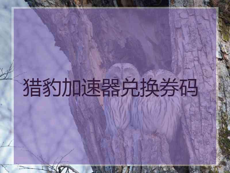 猎豹加速器兑换券码
