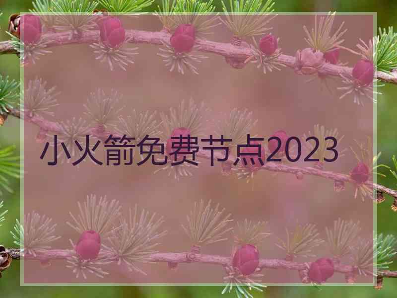 小火箭免费节点2023