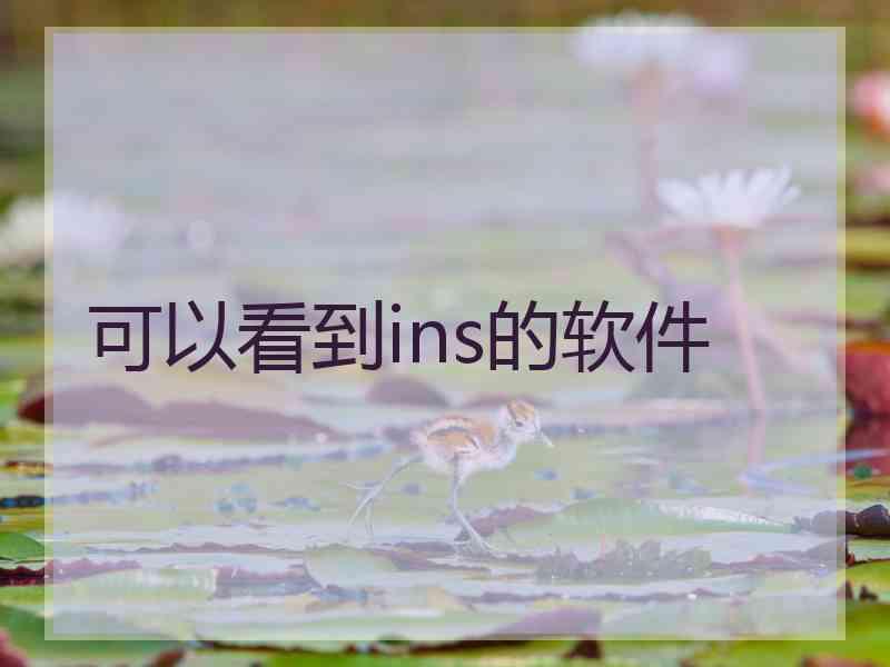 可以看到ins的软件