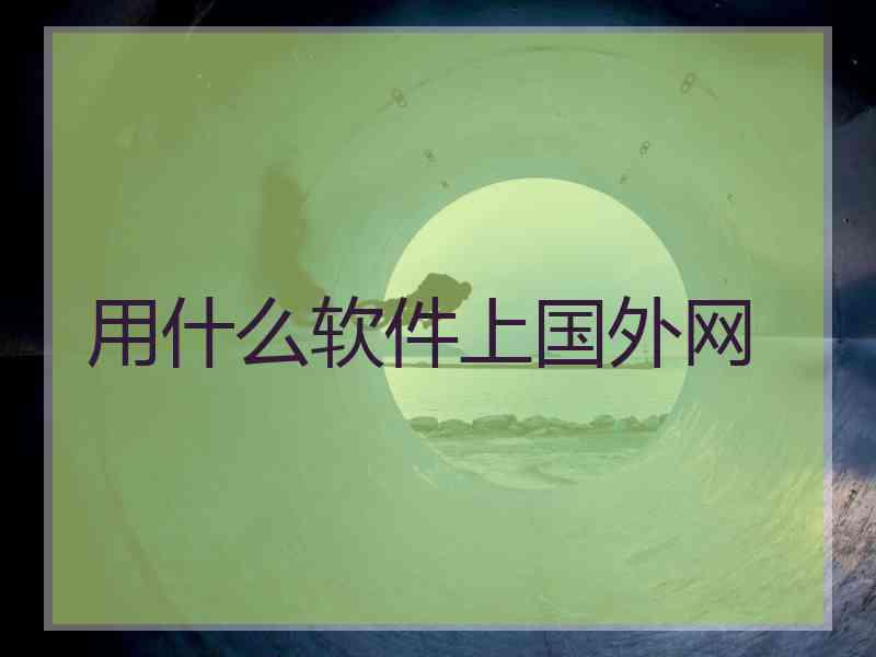 用什么软件上国外网
