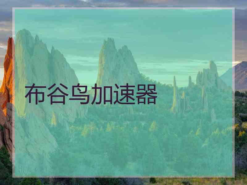 布谷鸟加速器