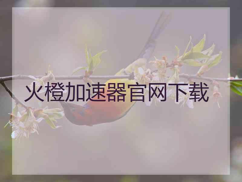 火橙加速器官网下载
