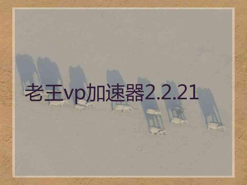 老王vp加速器2.2.21