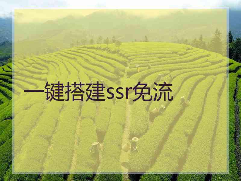 一键搭建ssr免流
