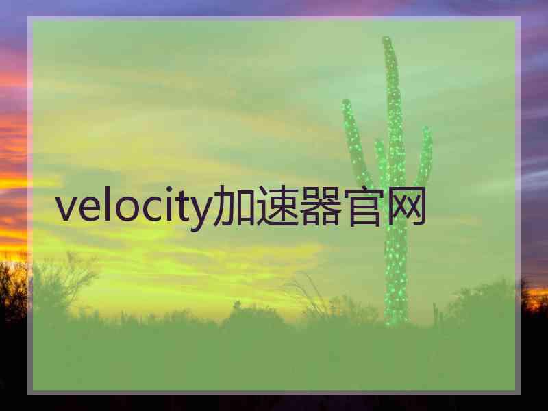 velocity加速器官网