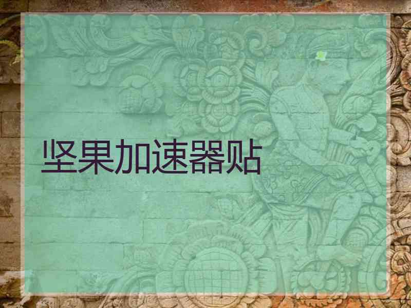 坚果加速器贴