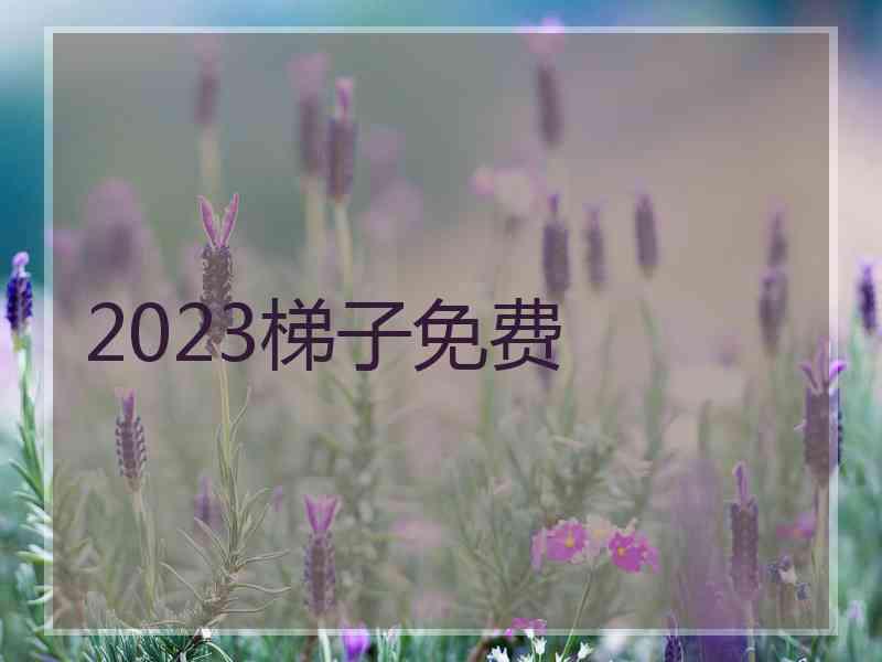 2023梯子免费