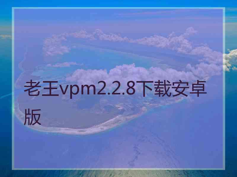 老王vpm2.2.8下载安卓版