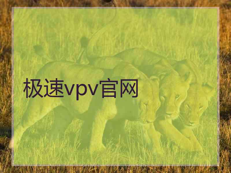 极速vpv官网