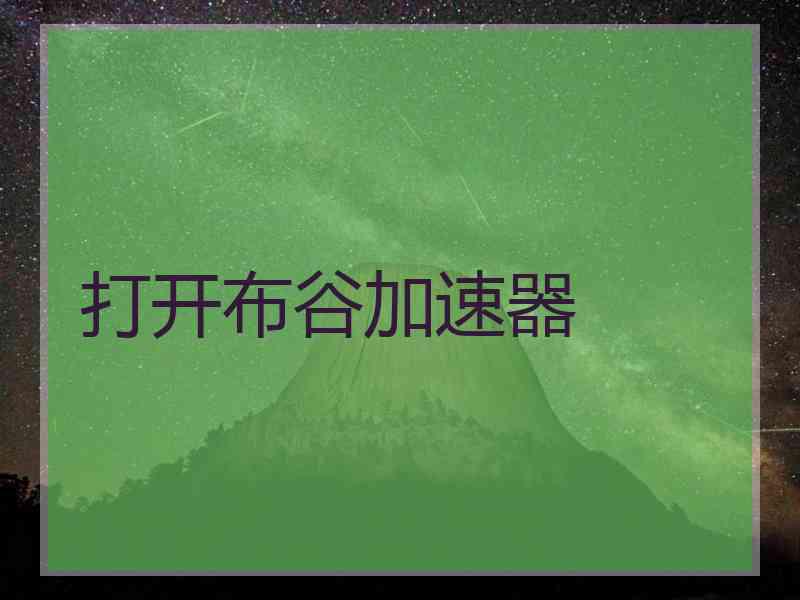 打开布谷加速器