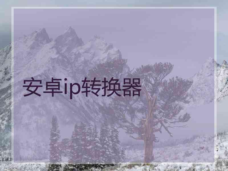 安卓ip转换器