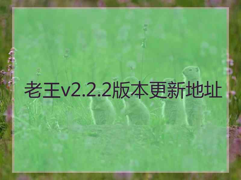 老王v2.2.2版本更新地址