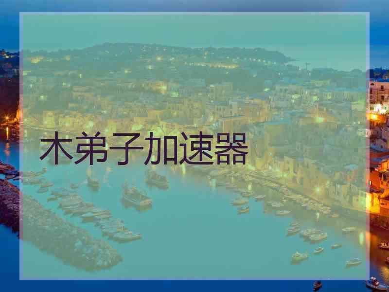 木弟子加速器