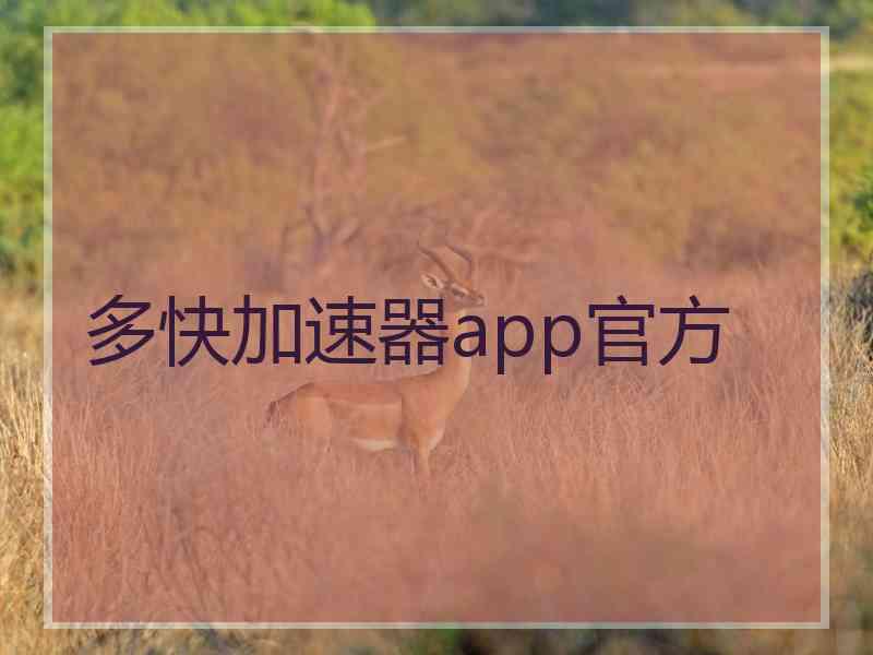 多快加速器app官方